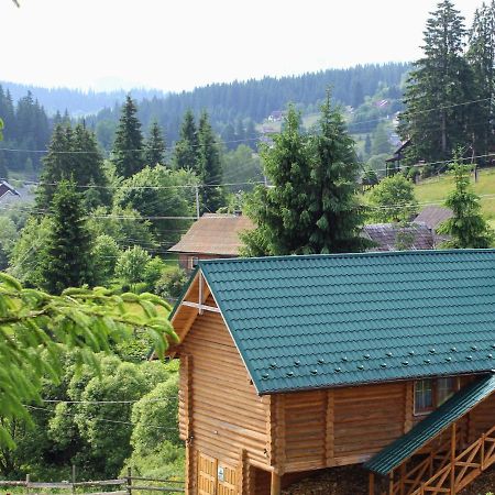 "Лісова Ягода" Yablunytsya Exterior foto