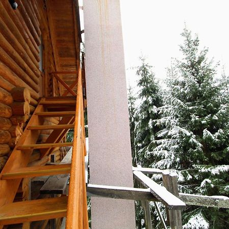 "Лісова Ягода" Yablunytsya Habitación foto