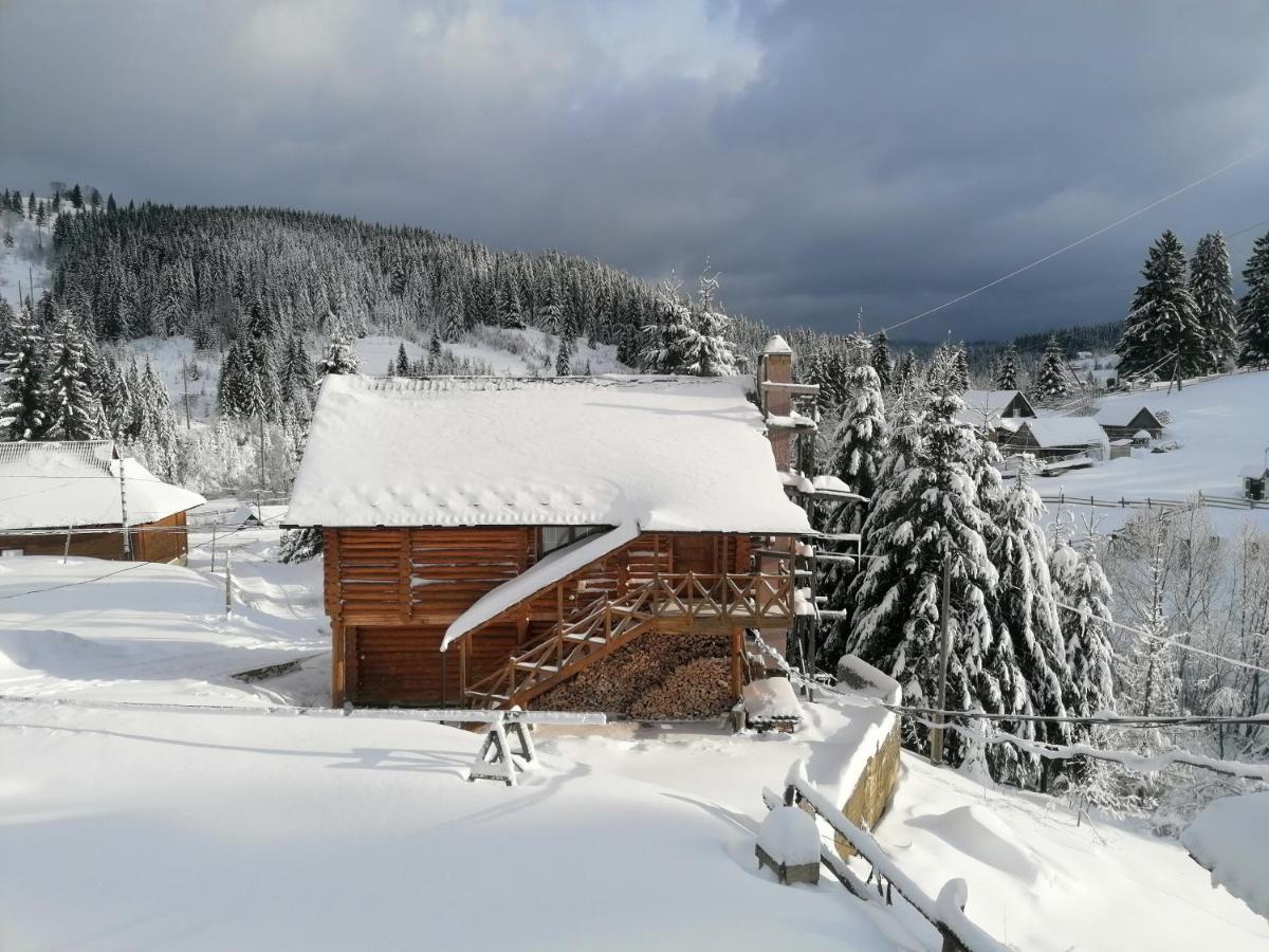 "Лісова Ягода" Yablunytsya Exterior foto