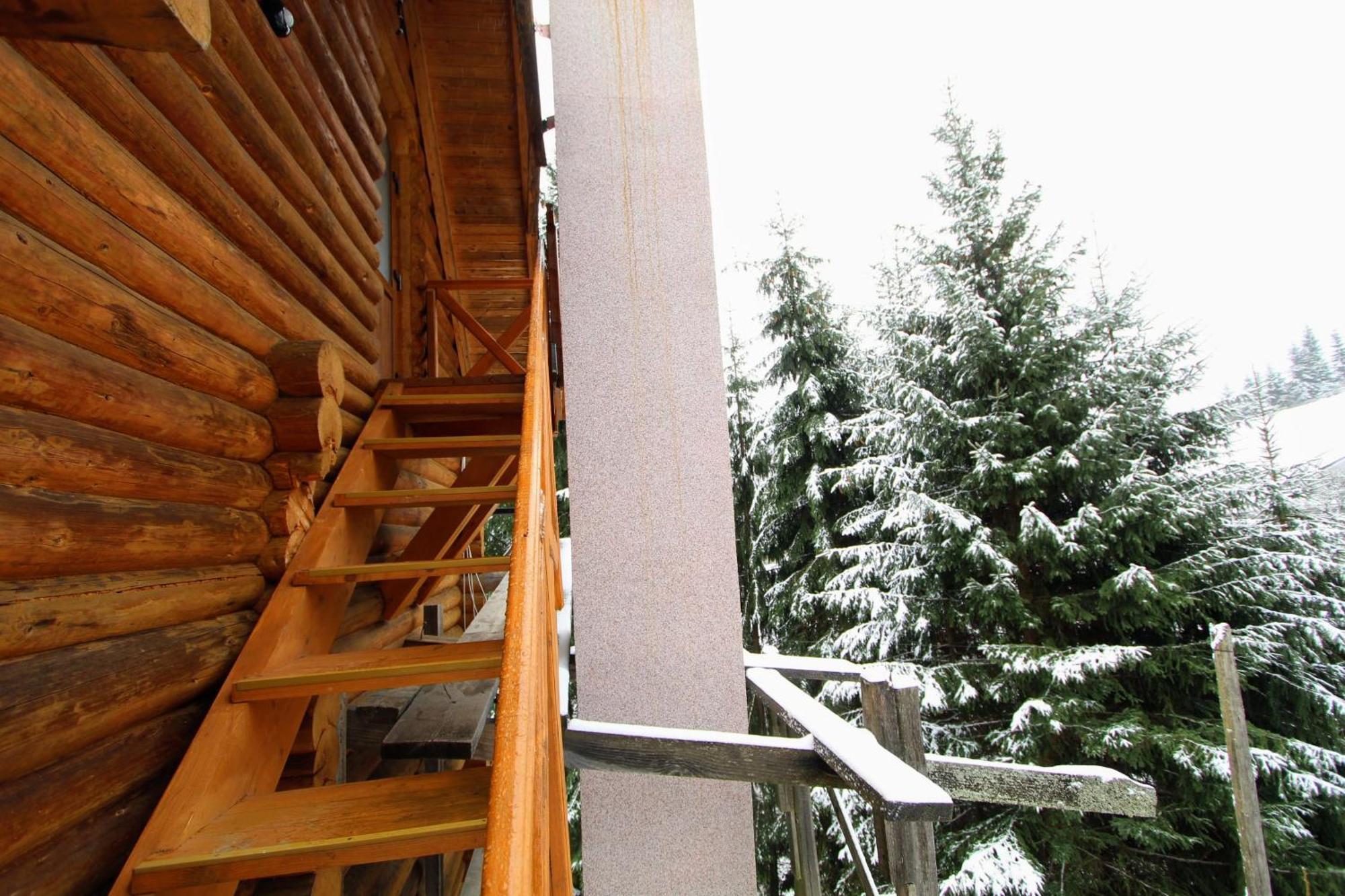 "Лісова Ягода" Yablunytsya Habitación foto